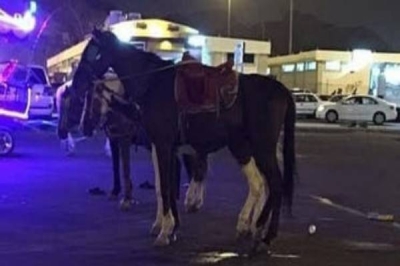 تطور جديد بشأن واقعة وفاة طفلة بعد سقوطها من على ظهر حصان وسحلها على الأسفلت في مكة