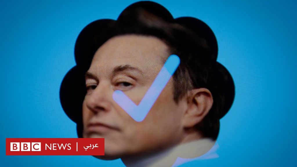 تويتر والذباب الإلكتروني: إيلون ماسك يتعهد بالقضاء عليه في تغريدة باللغة العربية، فما قصتها؟