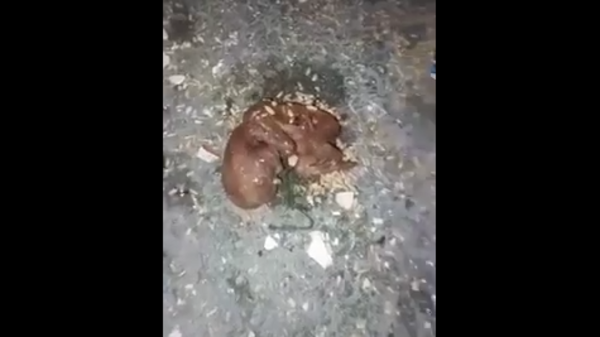 جثث أجنّة فوق سطح عيادة طبيّة.. ونيابة تونس تحاول كشف اللغز