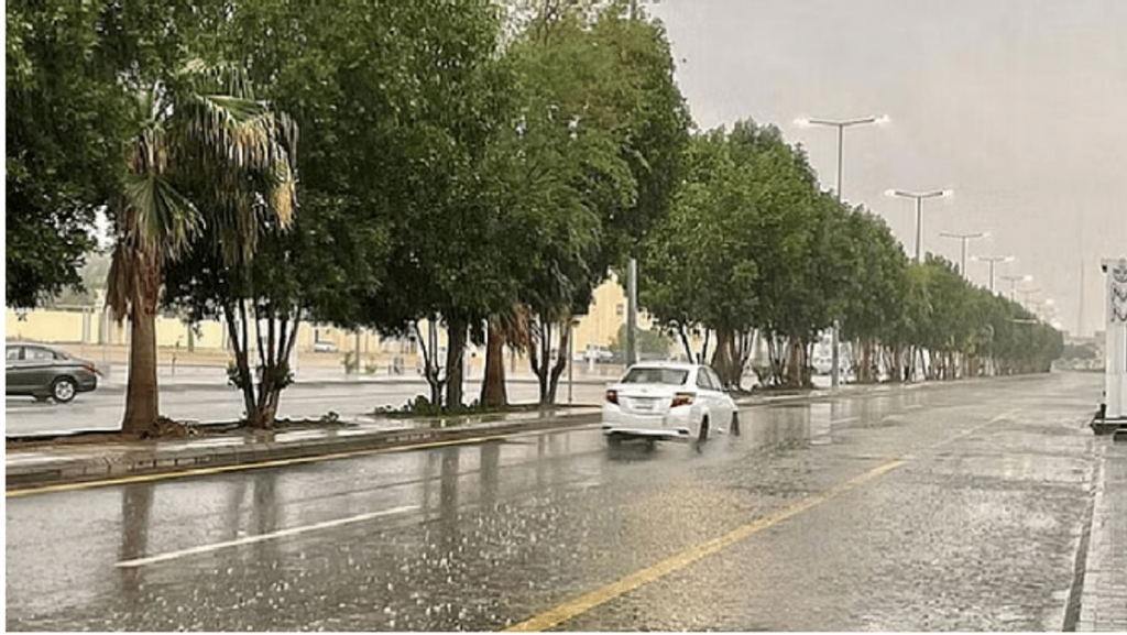 أمطار رعدية وسيول ورياح نشطة بعدة مناطق
