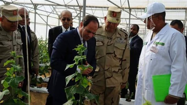 الصوب الزراعية