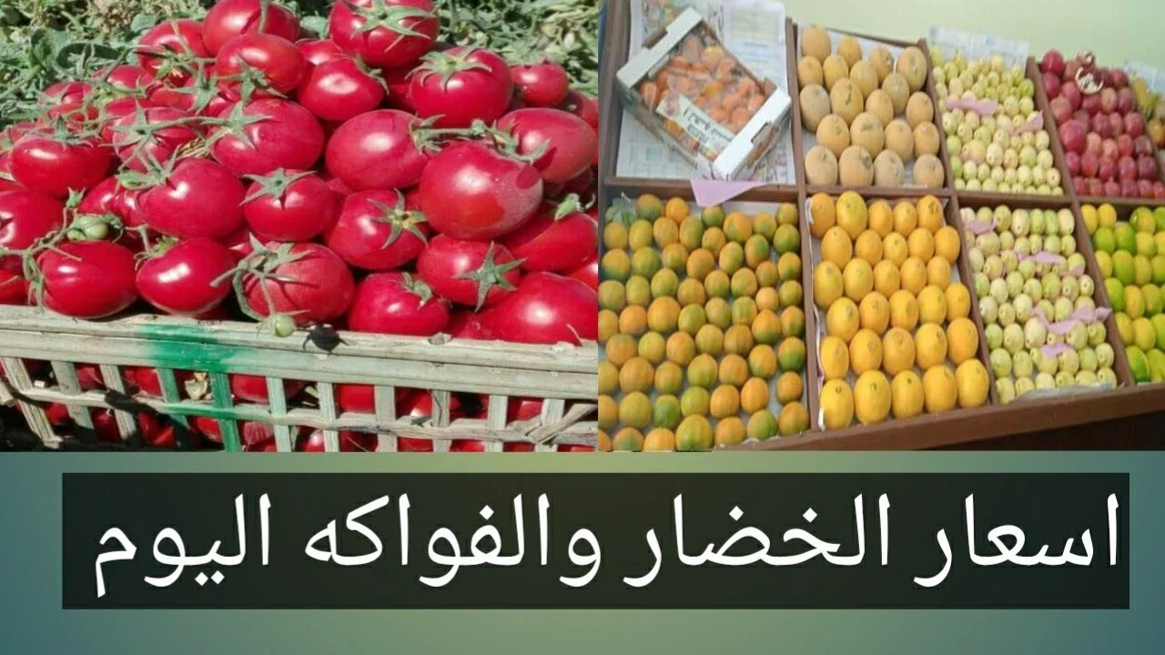 البصل بـ20 جنيه...أسعار الخضروات اليوم الثلاثاء 15 أغسطس 2023