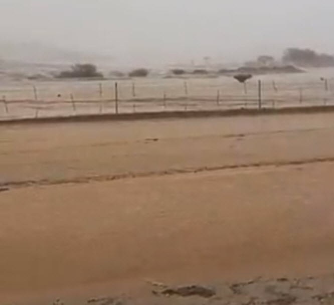بالفيديو.. أمطار غزيرة وسيول جنوب المدينة المنورة