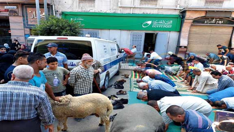 بالفيديو والصور- ذبح خروف في جنازة والدة أحمد شيبة لحظة خروج
