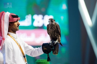 تفاصيل مزاد على بيع 3 صقور والكشف عن أسعارها وسلالاتها المميزة • صحيفة المرصد