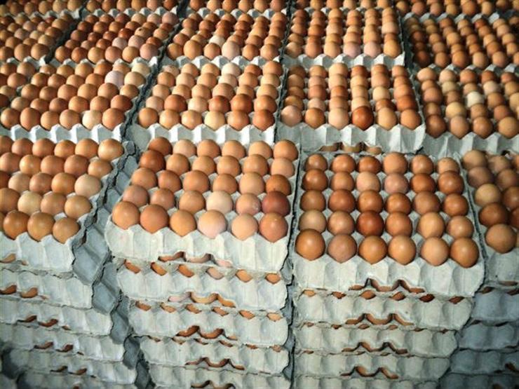 رئيس شعبة الدواجن: كرتونة البيض زادت 31 جنيها.. وعزة مصطفى: بقينا ملطشة
