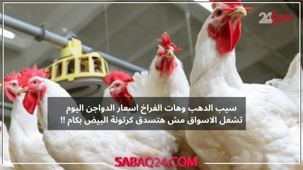 سيب الذهب وهات فراخ اسعار الدواجن اليوم تشعل الاسواق مش هتسدق كرتونة البيض بكام!!
