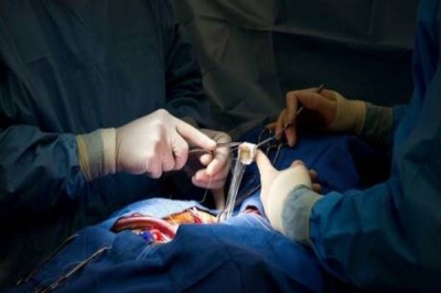 عملت بشكل طبيعي.. أطباء أمريكيون ينجحون في زراعة كلية خنزير في جسد إنسان