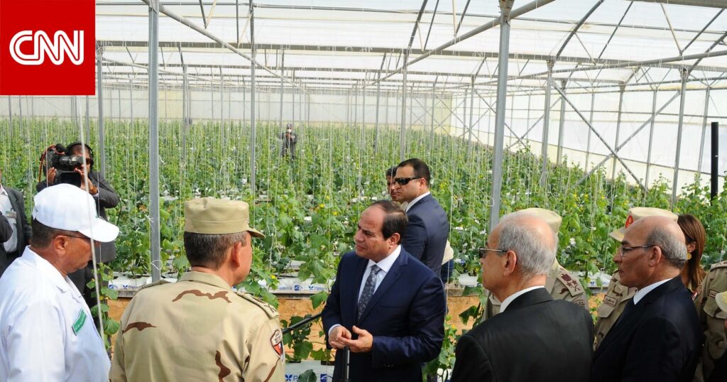 مصر: جدل حول مشروع الصوب الزراعية بقاعدة محمد نجيب.. وبرلماني: حقق طفرة في الصادرات