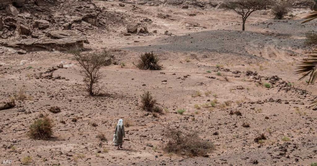 مصر.. قصة 3 مراهقين ماتوا عطشا خلال البحث عن الذهب بالصحراء